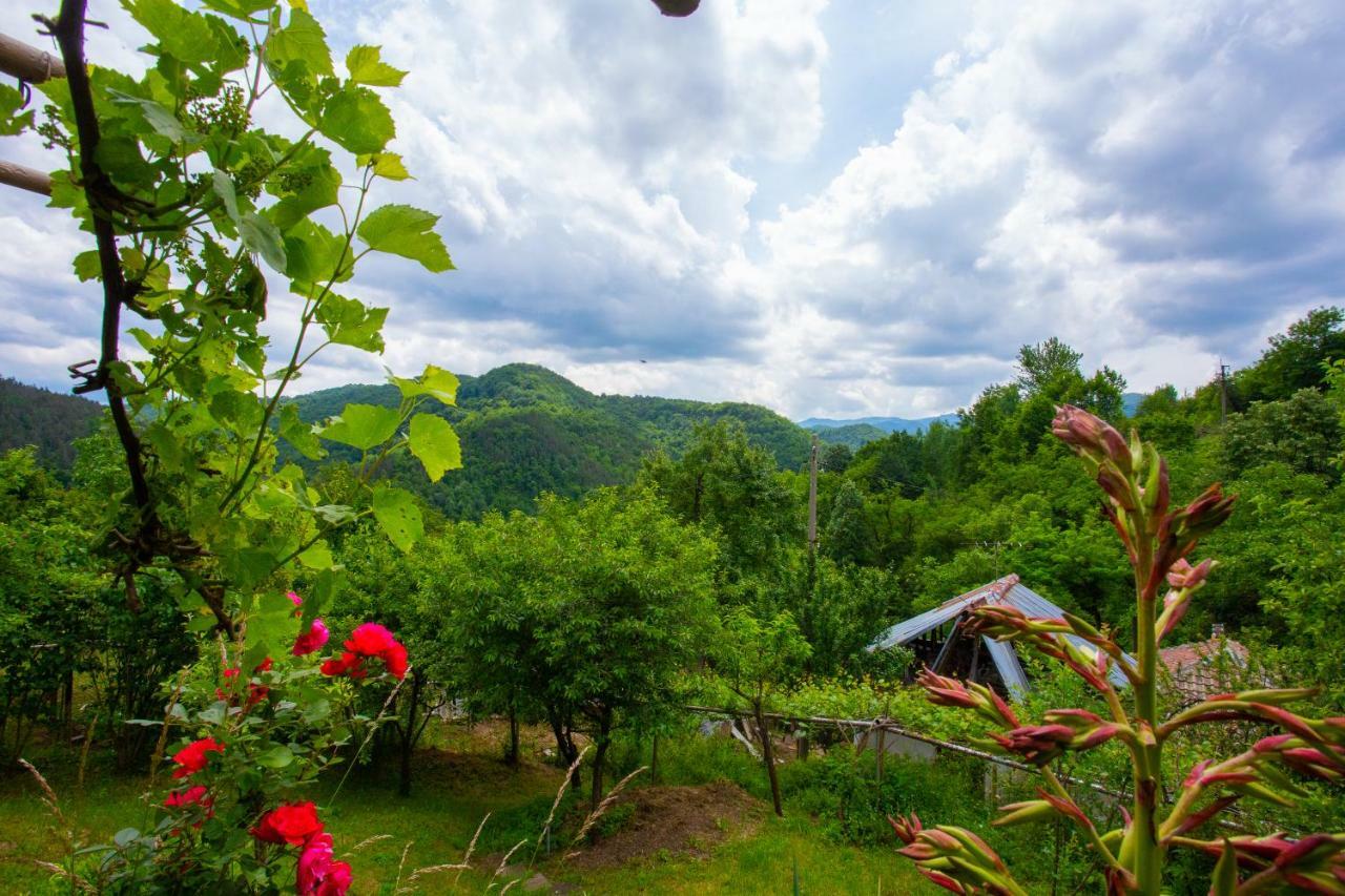 Holiday Home Lyubovo Габрово Екстериор снимка